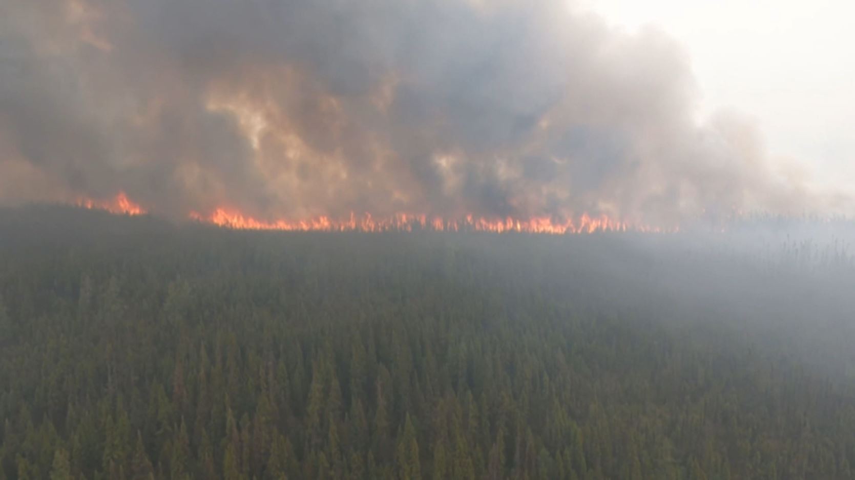 Feux de forêt Des chalets brûlés à LebelsurQuévillon TVA Abitibi
