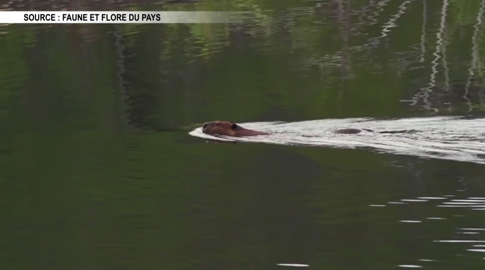 LaverlochèreAngliers La municipalité en mode solution face aux